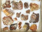 Lot: to Bladed Barite With Vanadinite - Pieces #138115-1